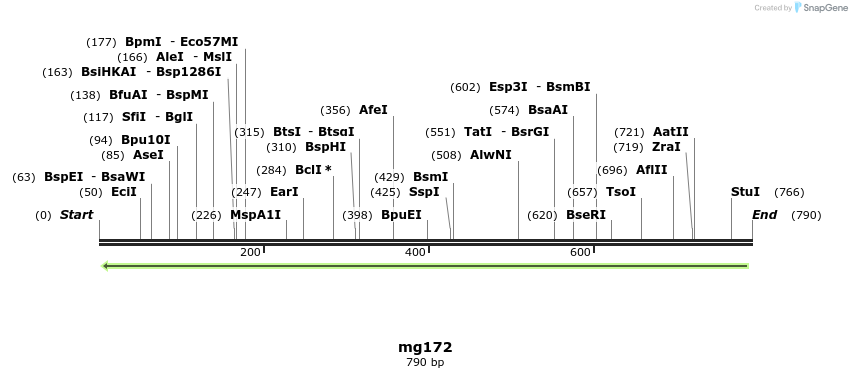 43186_map