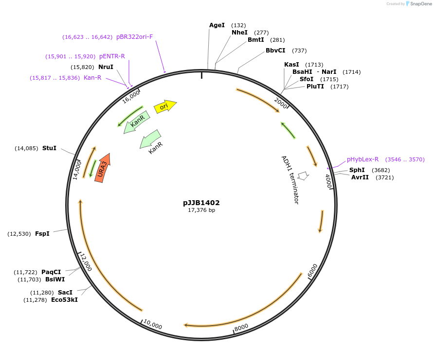 431890_map