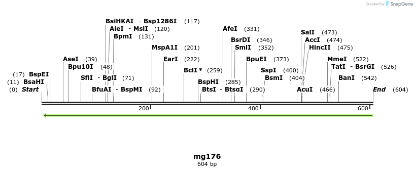 43190_map