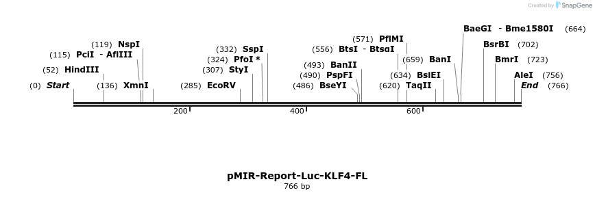 43191_map