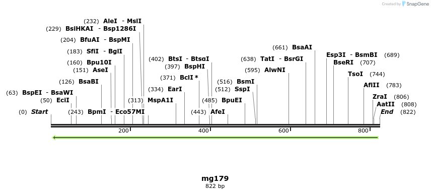 43192_map