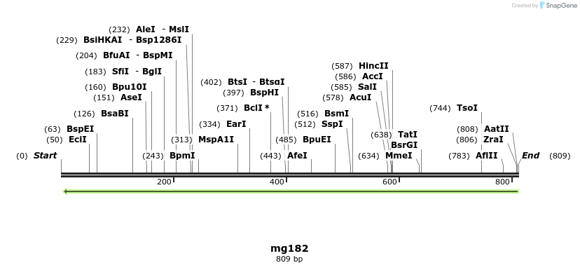43196_map