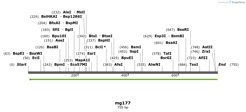43198_map