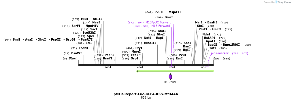 43201_map