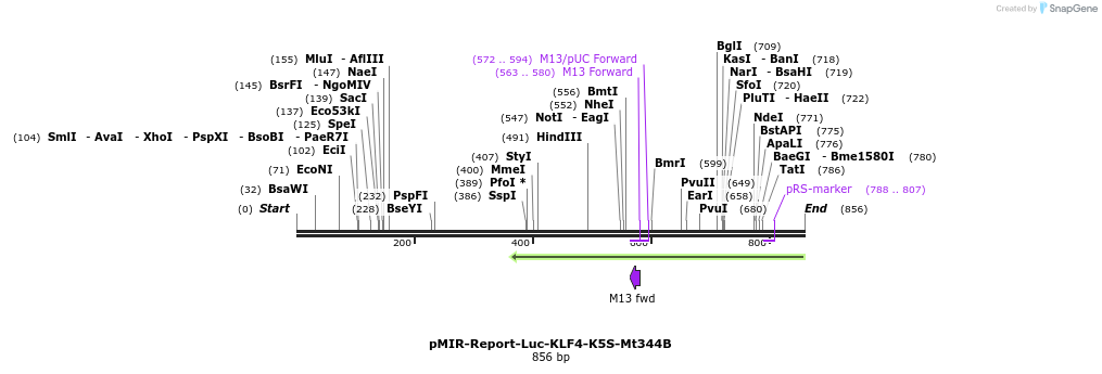 43202_map