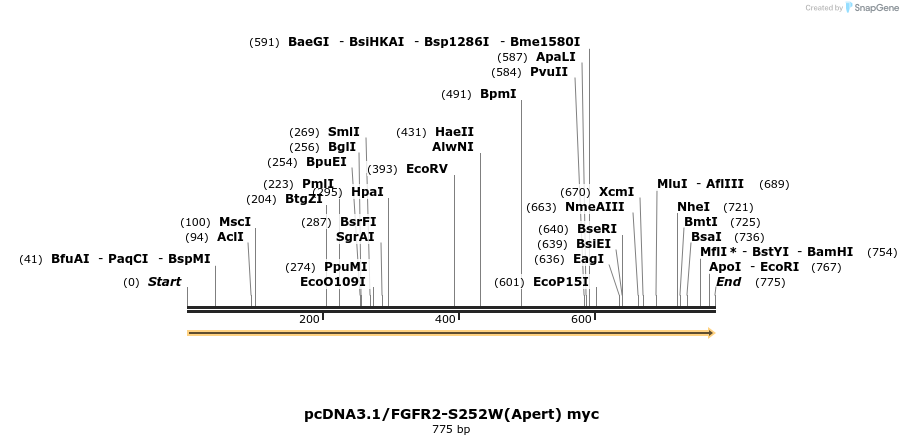 43203_map
