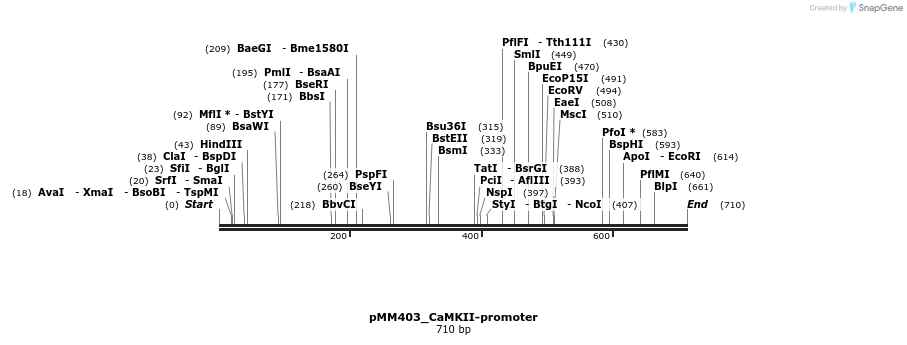 43206_map