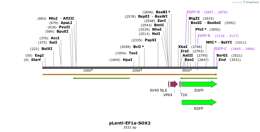 43207_map