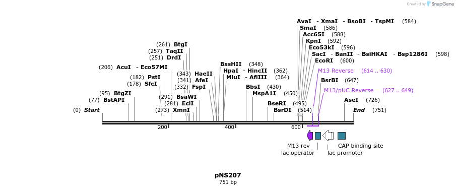 43208_map
