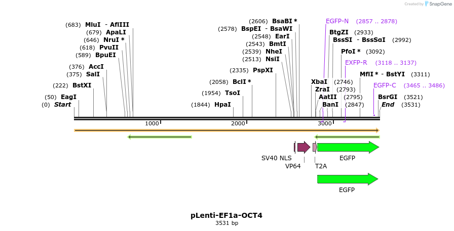 43212_map
