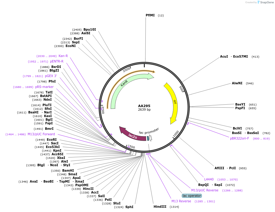 432120_map