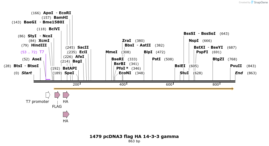 43214_map