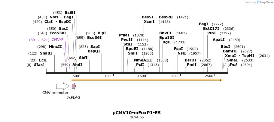 43215_map