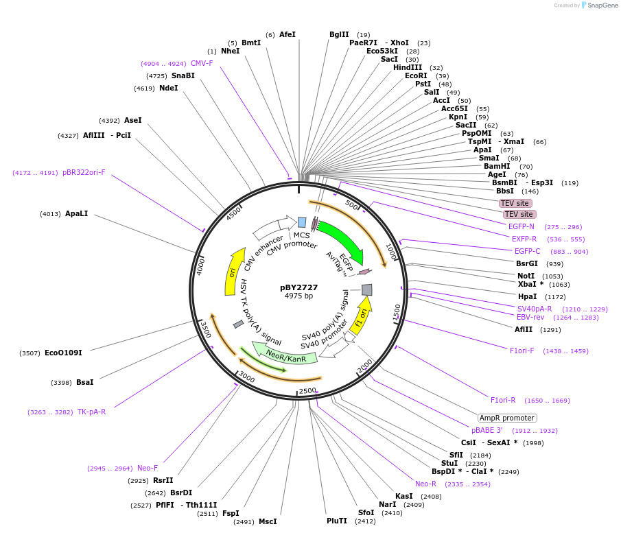 43217_map