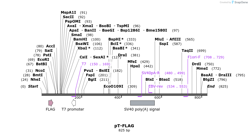 43218_map