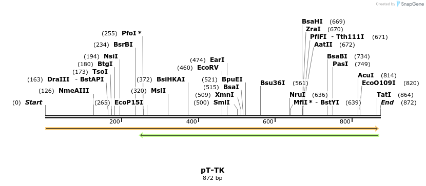 43219_map