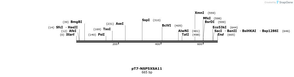 432239_map