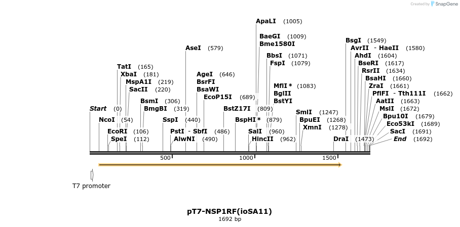 432243_map