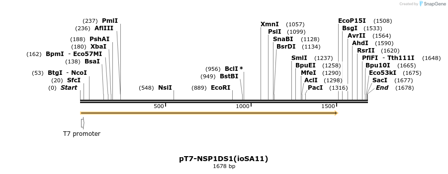 432245_map