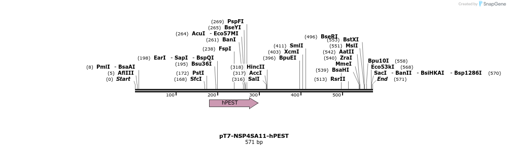432246_map