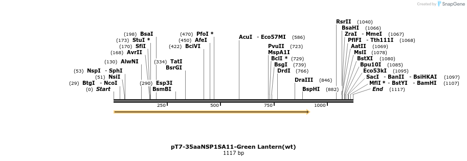 432247_map