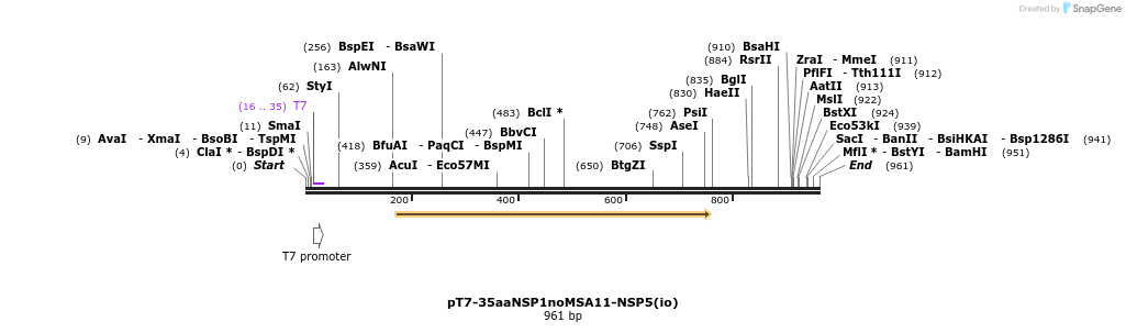 432252_map