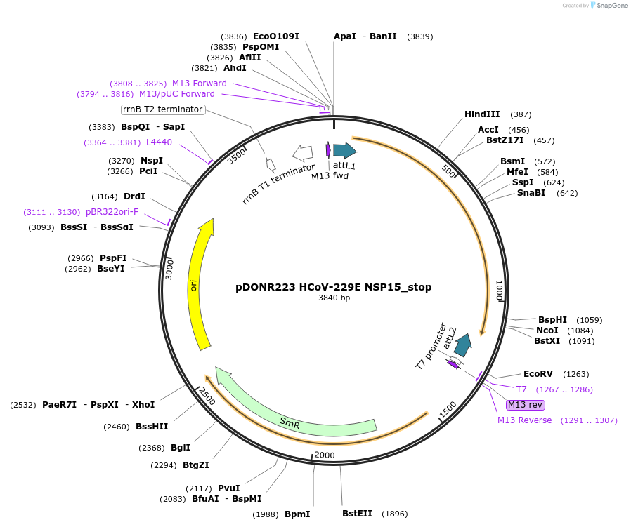 432344_map