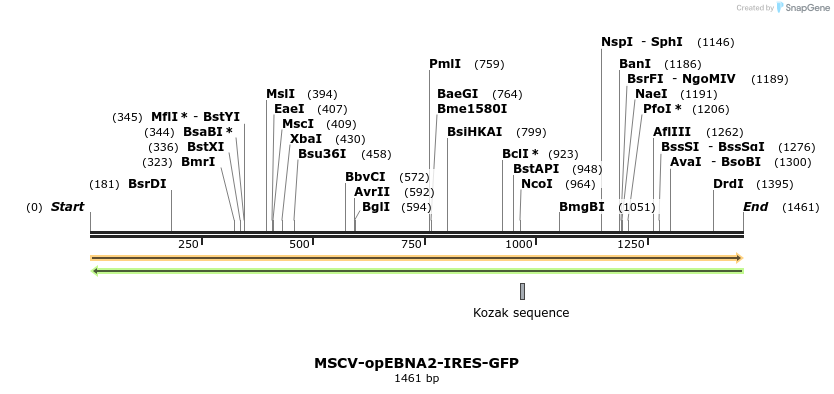 432728_map
