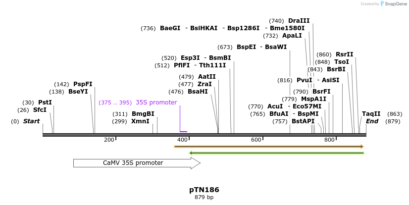 43277_map