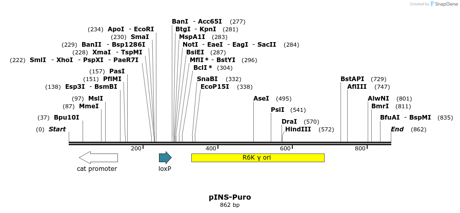 43278_map