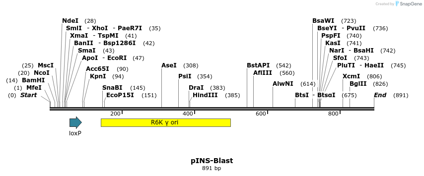 43279_map
