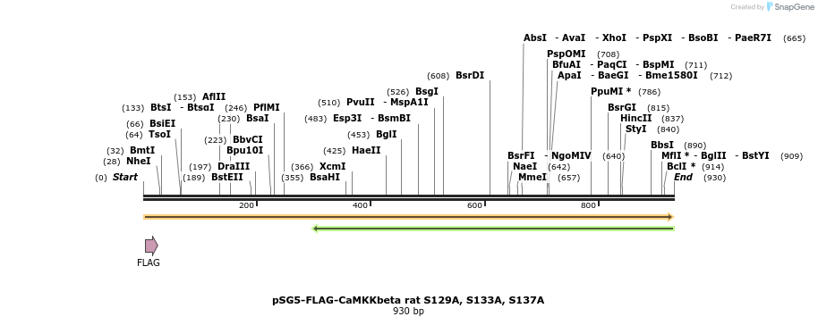 43287_map
