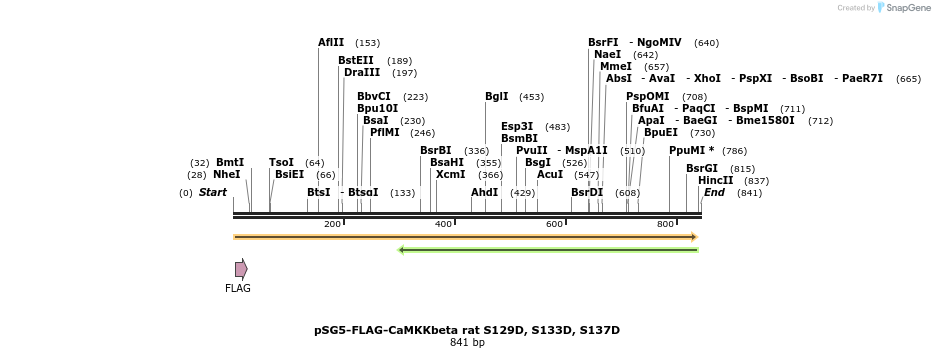 43288_map