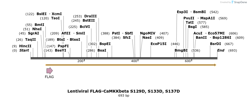 43290_map