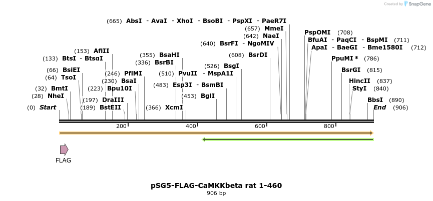 43299_map