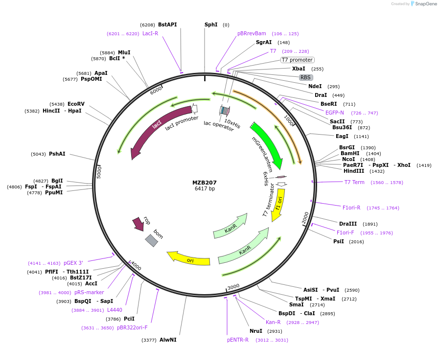 433002_map