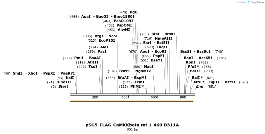 43301_map