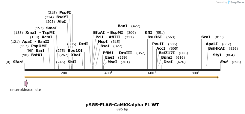 43307_map