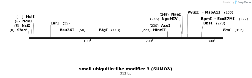 433073_map