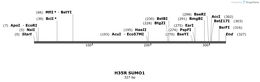 433074_map