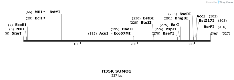 433075_map