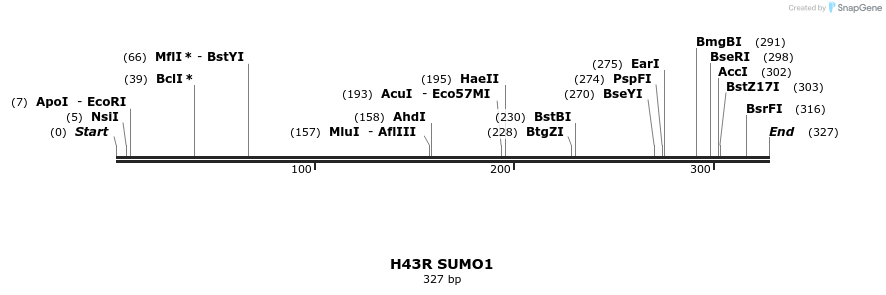 433077_map