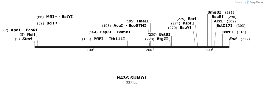 433079_map