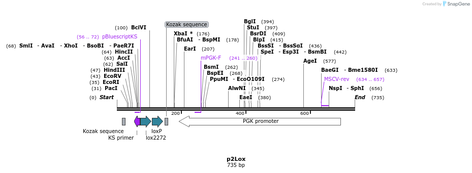 43308_map
