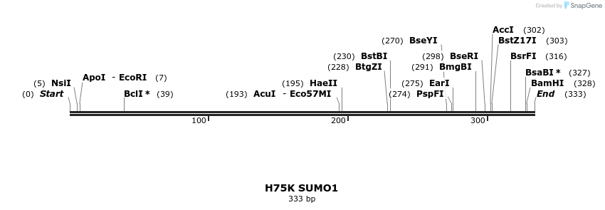 433081_map
