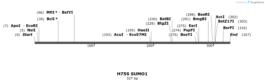 433082_map