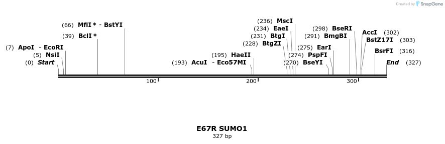 433084_map