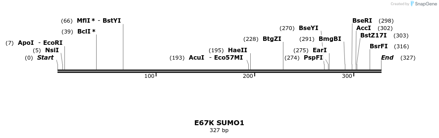 433085_map