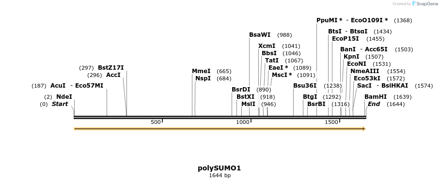 433086_map
