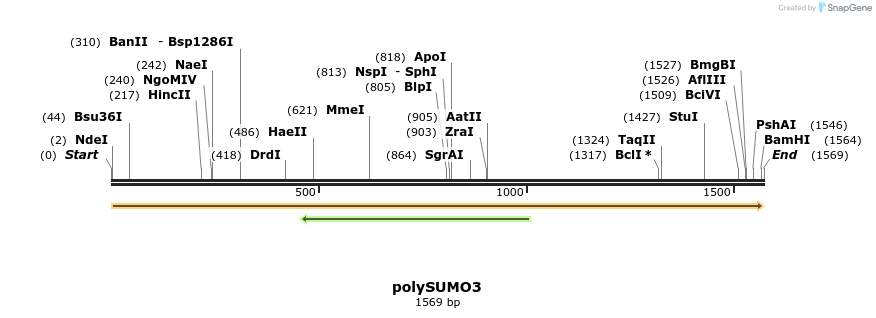 433087_map